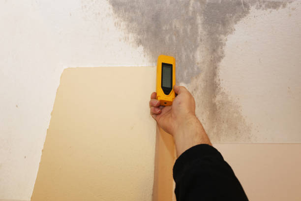 Mold Remediation for Vacation Homes in Pembroke Pines, FL