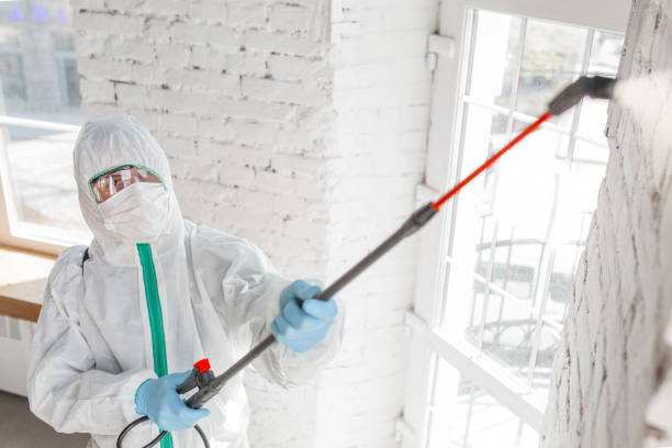 Best Industrial Mold Remediation  in Pembroke Pines, FL