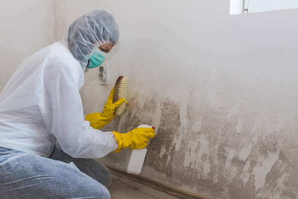 Best Mold Removal for HVAC Installations  in Pembroke Pines, FL