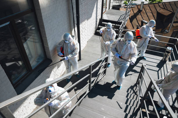  Pembroke Pines, FL Mold Removal Pros
