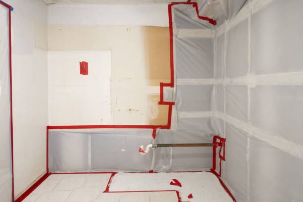Best Water Damage & Mold Remediation  in Pembroke Pines, FL
