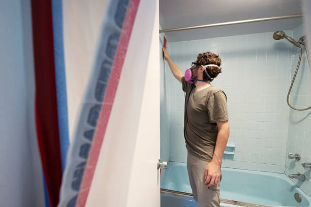 Reliable Pembroke Pines, FL Mold Removal Solutions