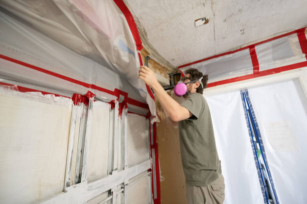 Best Post-Construction Mold Inspection  in Pembroke Pines, FL