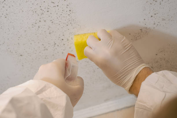 Best Post-Remediation Verification Testing  in Pembroke Pines, FL