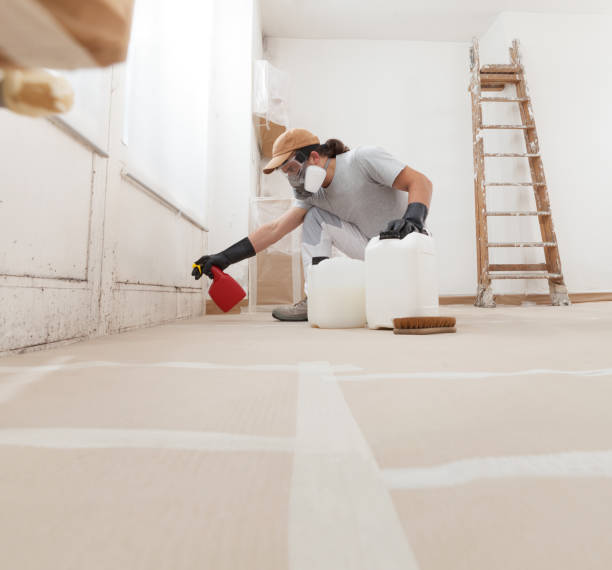 Best Black Mold Removal  in Pembroke Pines, FL